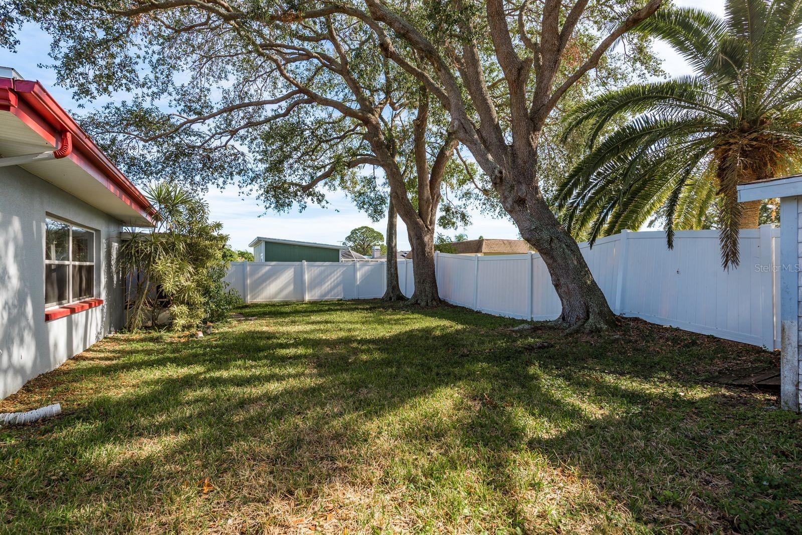 1809 CHINABERRY DR, OLDSMAR, FL, 34677