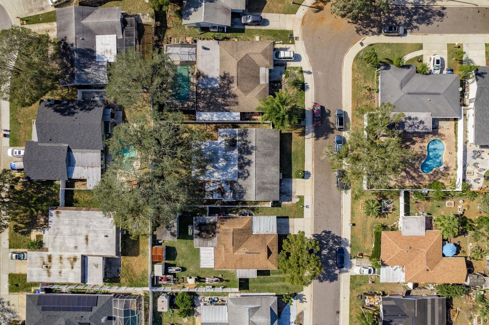 1809 CHINABERRY DR, OLDSMAR, FL, 34677