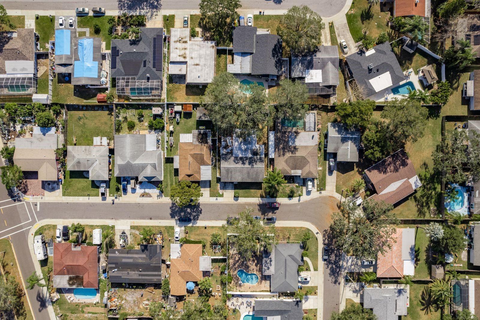 1809 CHINABERRY DR, OLDSMAR, FL, 34677