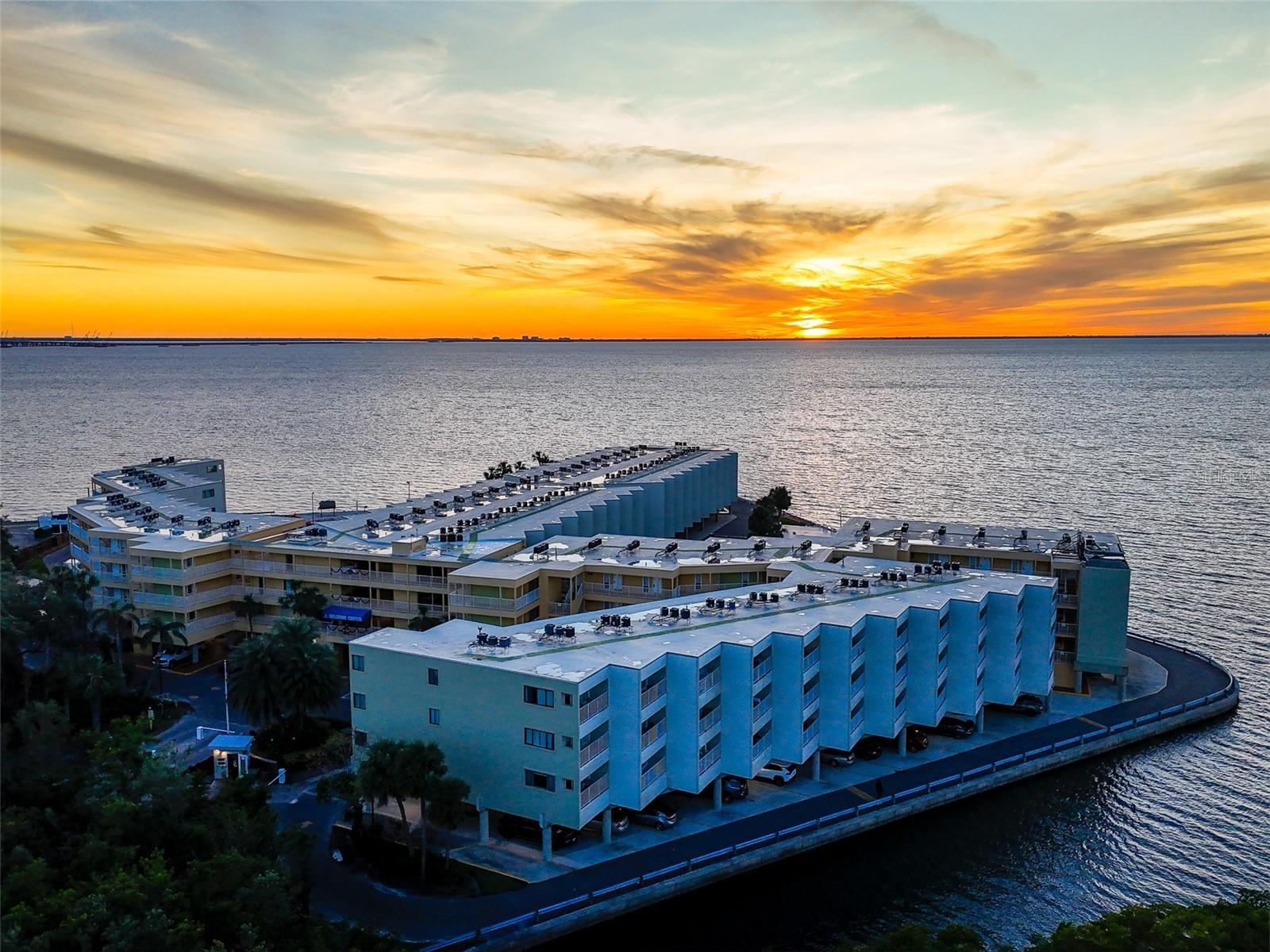2506 N ROCKY POINT DR #208, TAMPA, FL, 33607