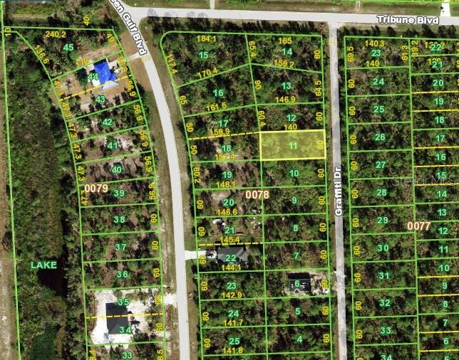 12295 GRAFFITI DR, PUNTA GORDA, FL, 33955