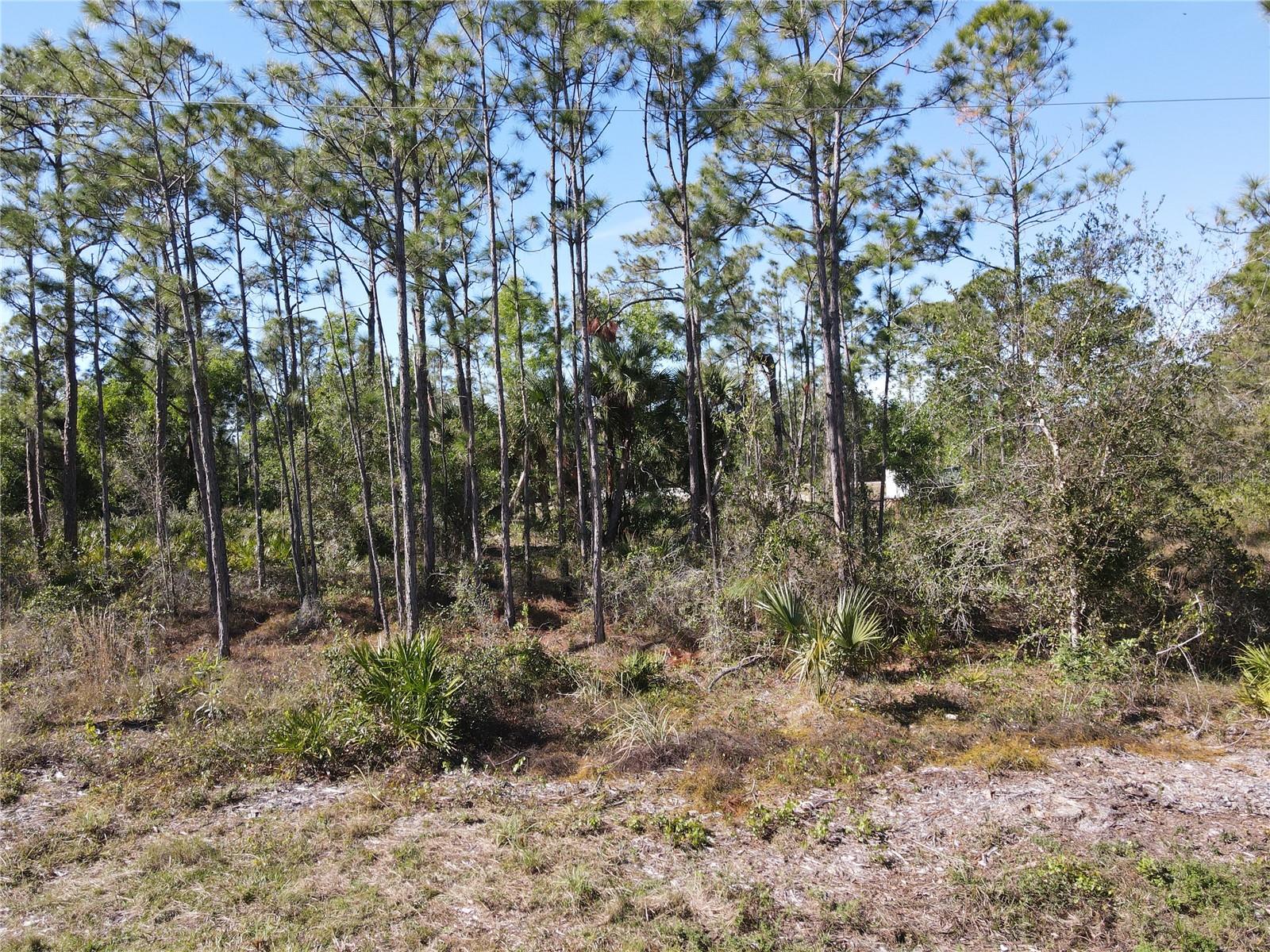 12295 GRAFFITI DR, PUNTA GORDA, FL, 33955