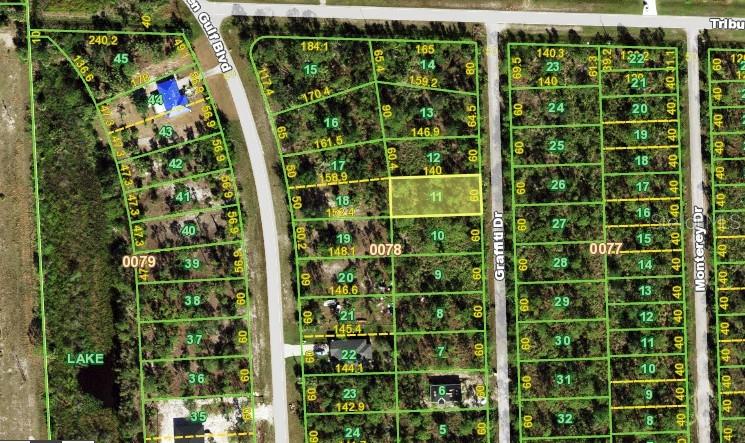 12295 GRAFFITI DR, PUNTA GORDA, FL, 33955