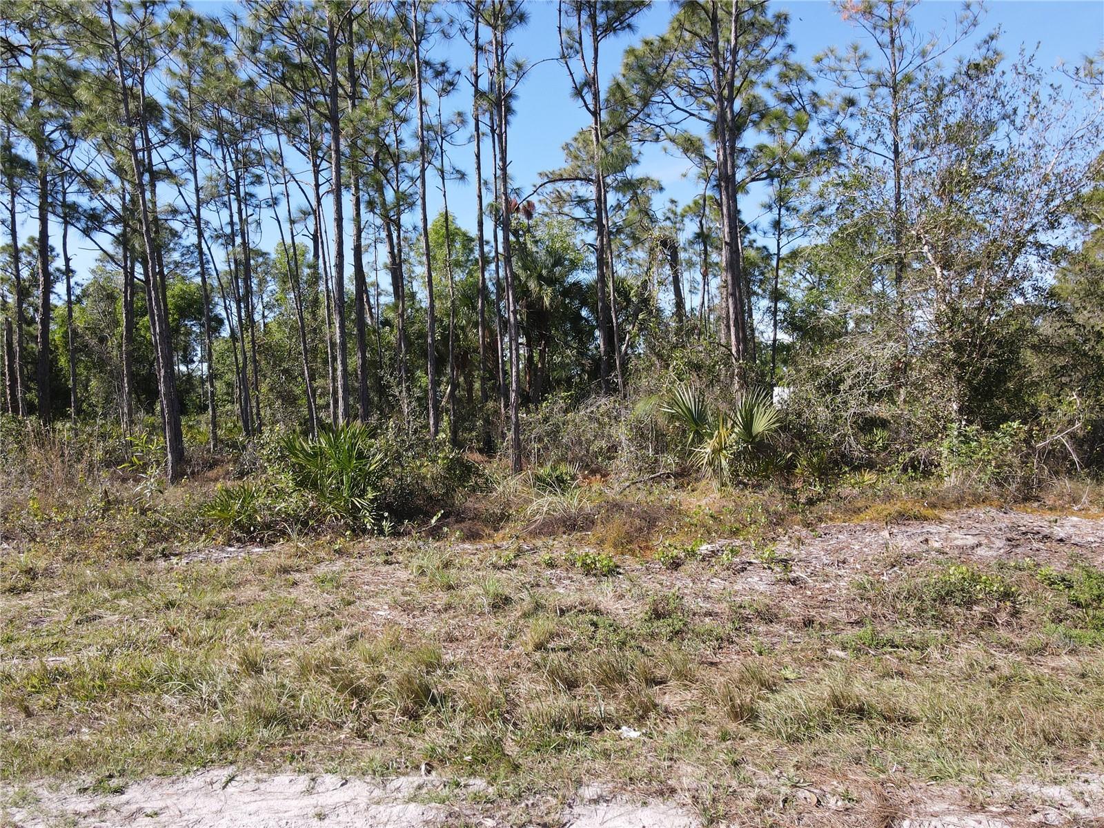12295 GRAFFITI DR, PUNTA GORDA, FL, 33955