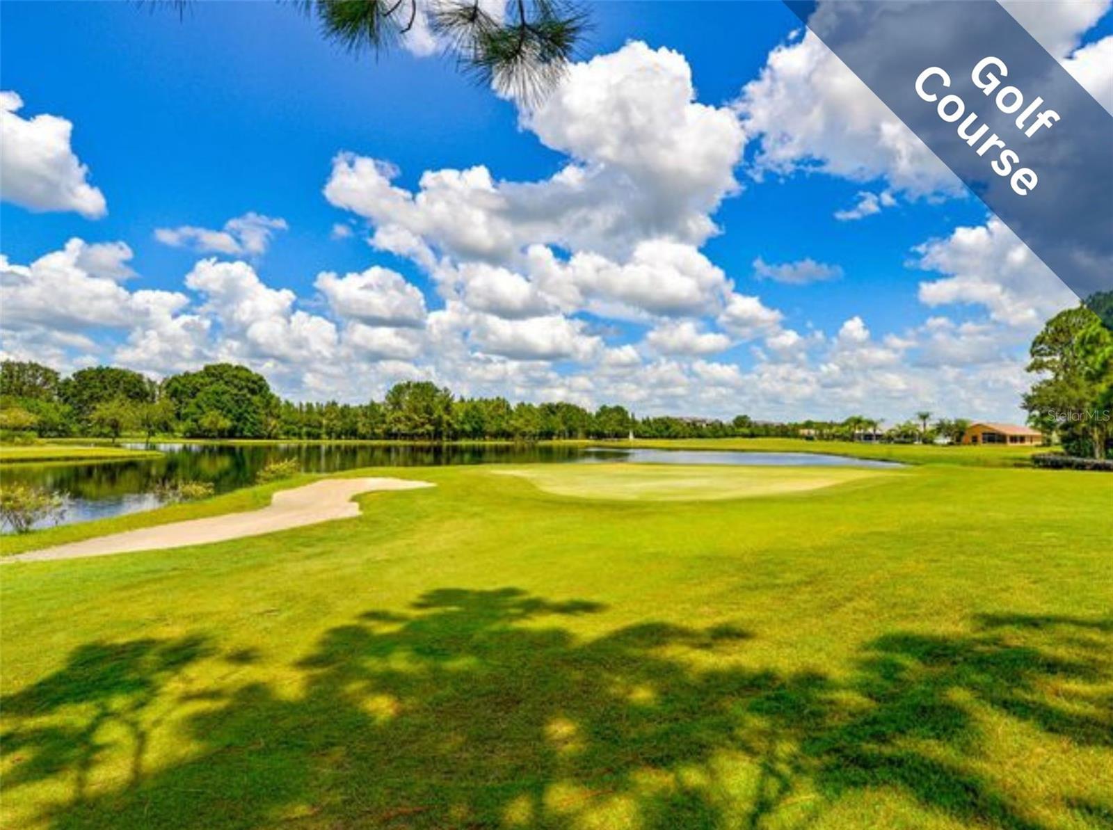 1613 WESTERHAM LOOP, TRINITY, FL, 34655