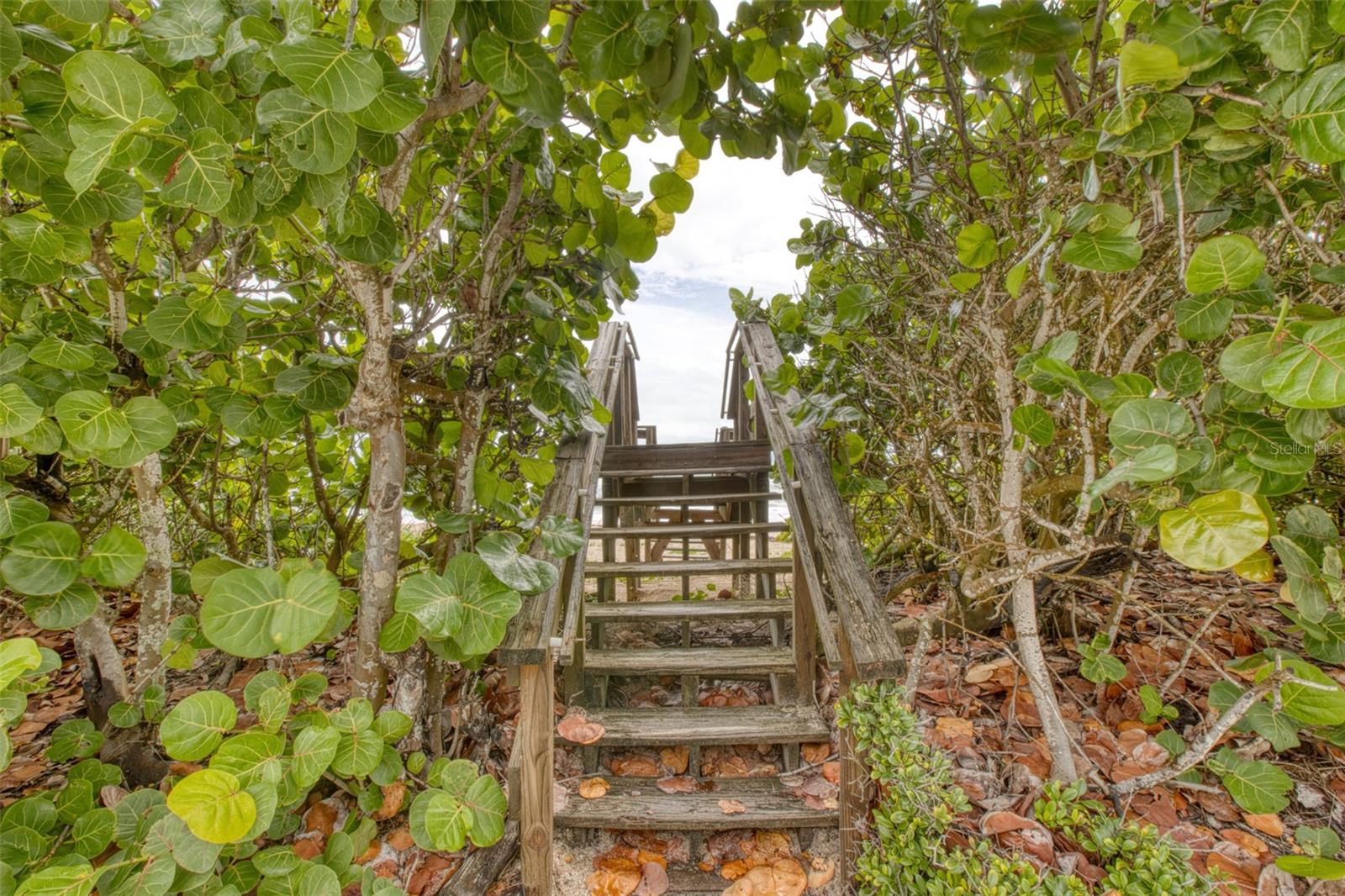 6368 S ATLANTIC AVE, NEW SMYRNA BEACH, FL, 32169