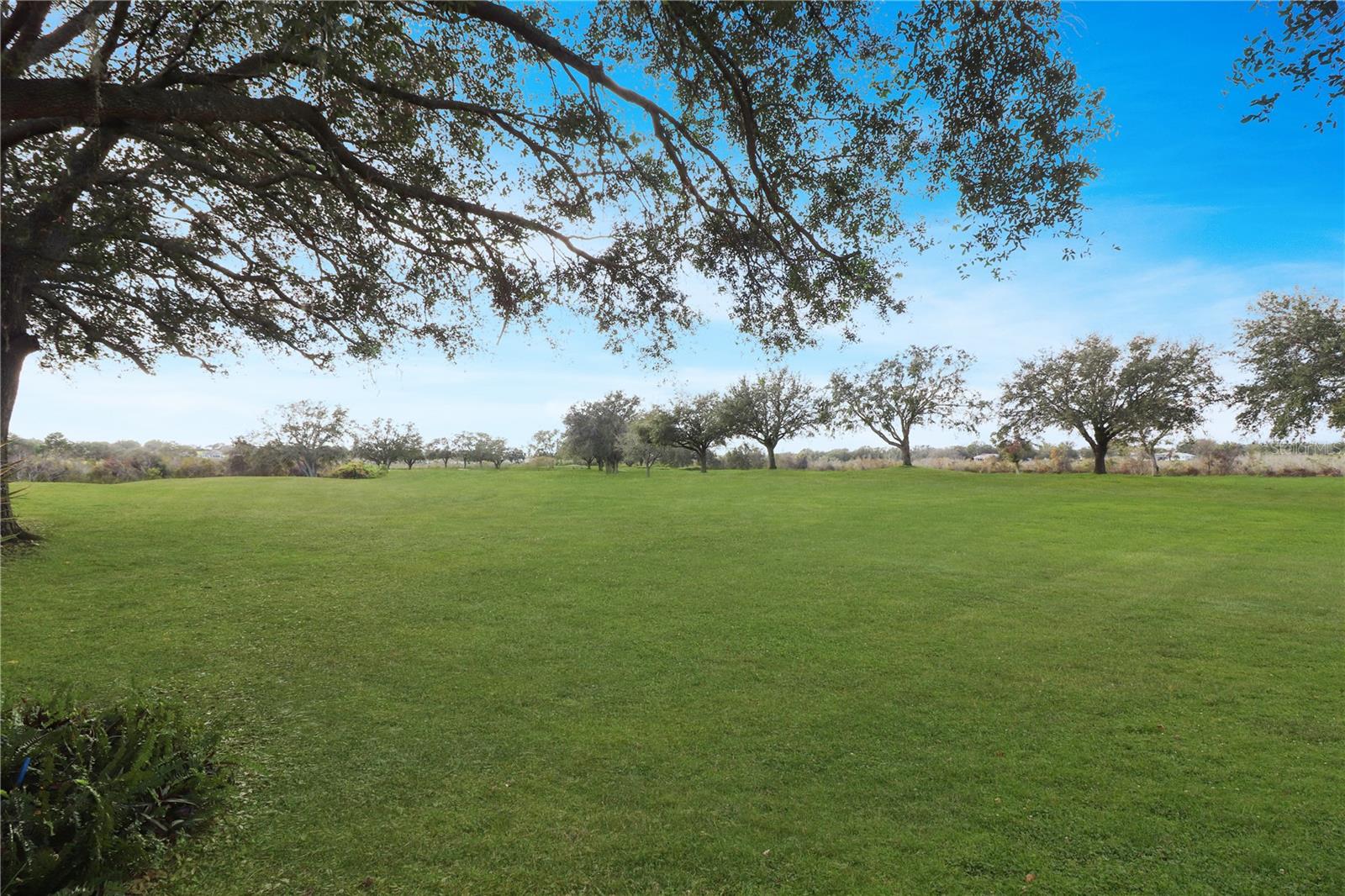 21737 ROYAL ST GEORGES LN, LEESBURG, FL, 34748