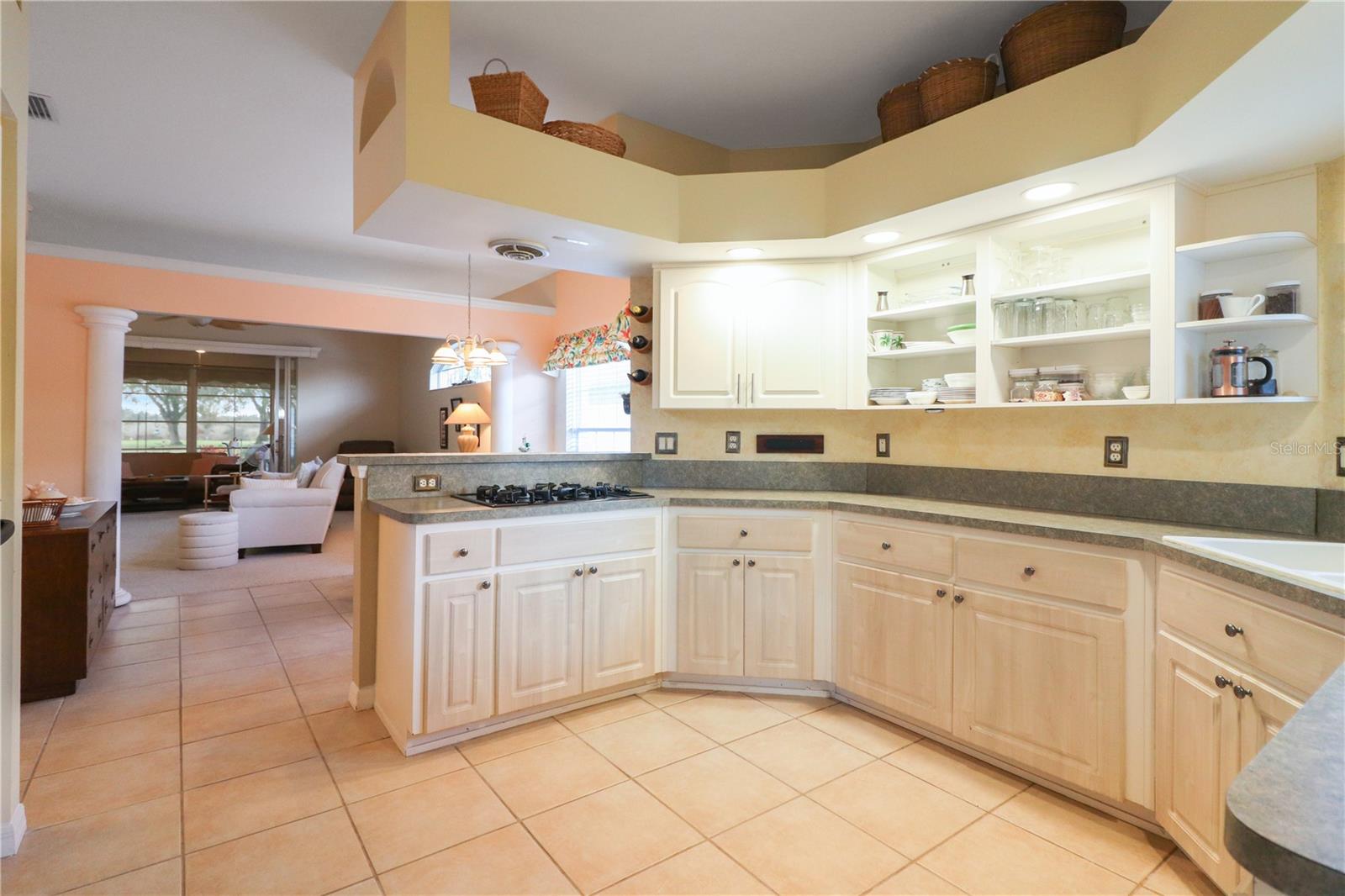 21737 ROYAL ST GEORGES LN, LEESBURG, FL, 34748