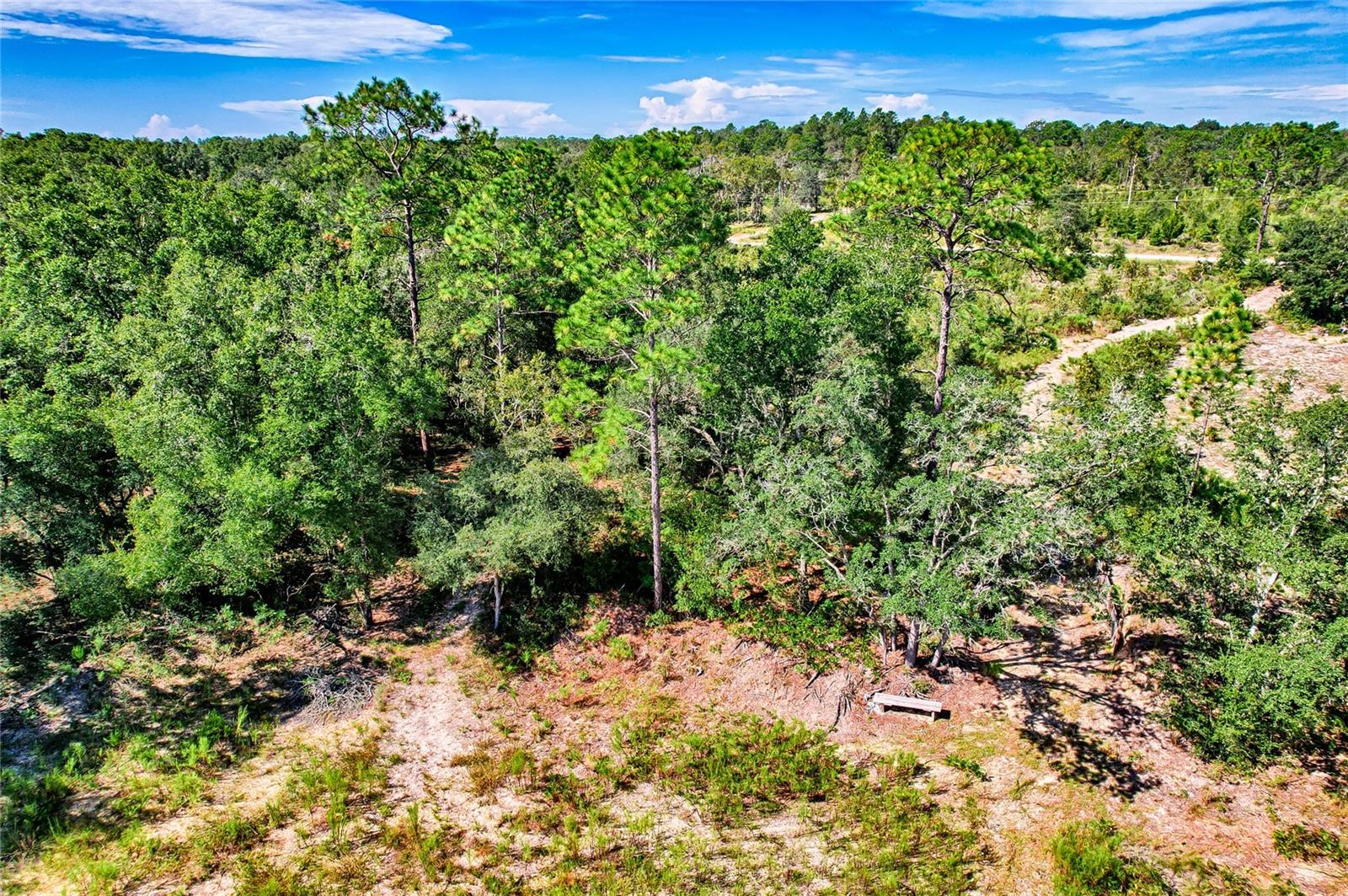 00 NE 108TH TER, ARCHER, FL, 32618