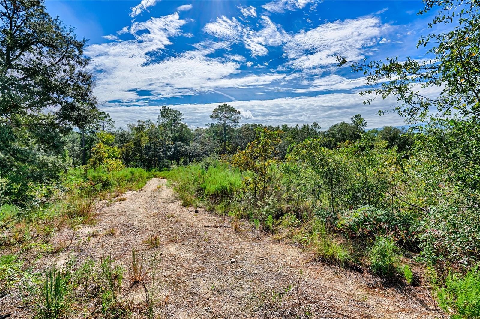 00 NE 108TH TER, ARCHER, FL, 32618