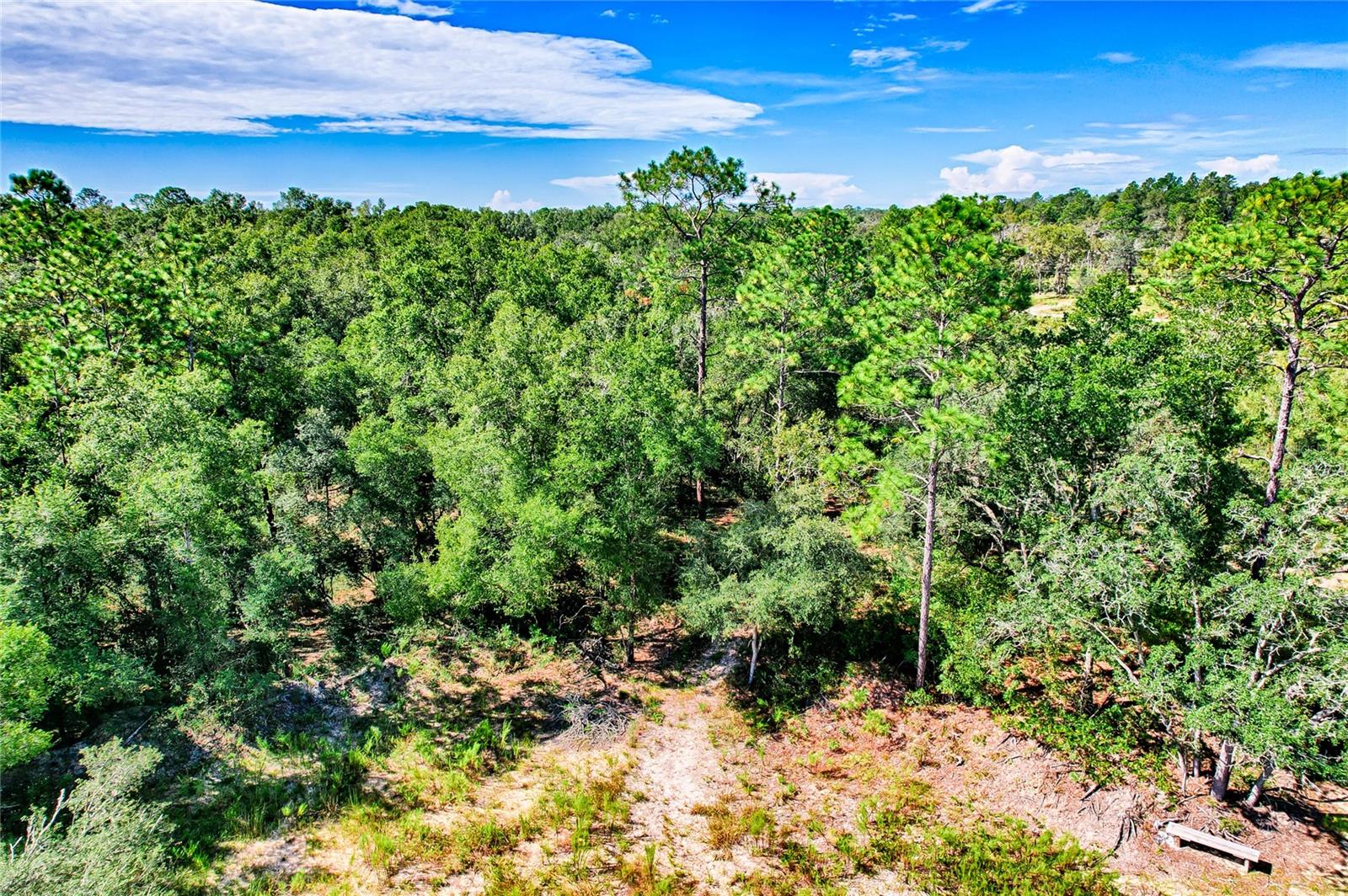 00 NE 108TH TER, ARCHER, FL, 32618