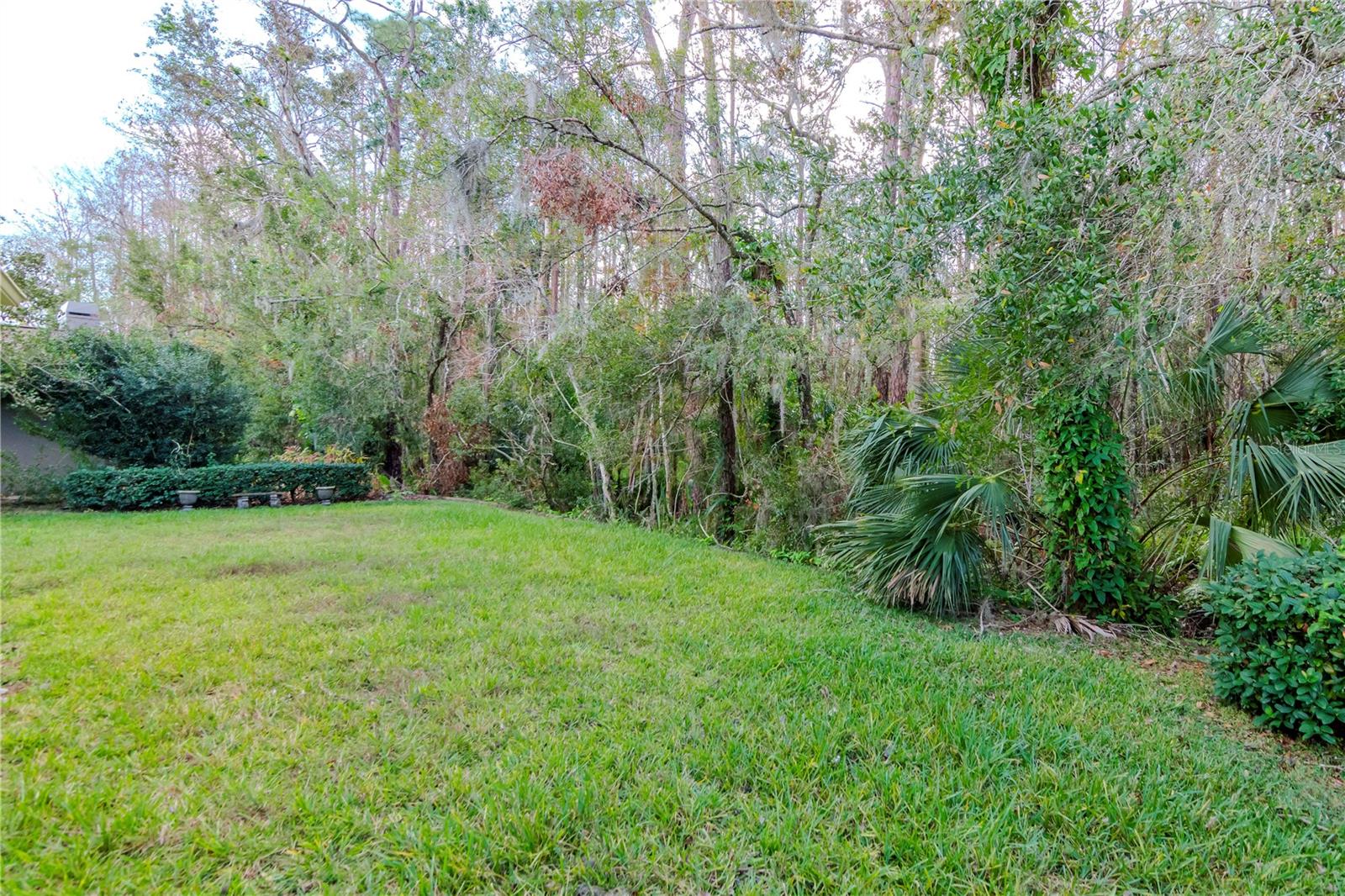 3214 GLENRIDGE DR, PALM HARBOR, FL, 34685