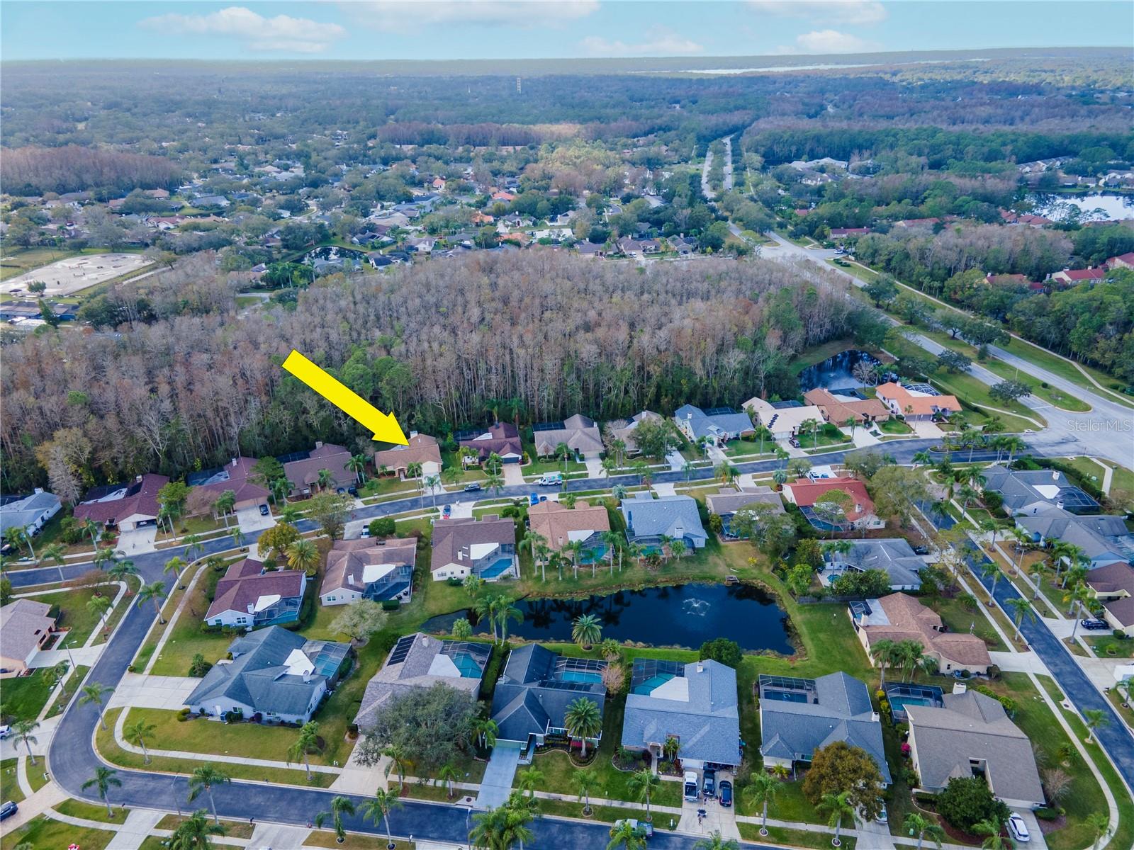 3214 GLENRIDGE DR, PALM HARBOR, FL, 34685
