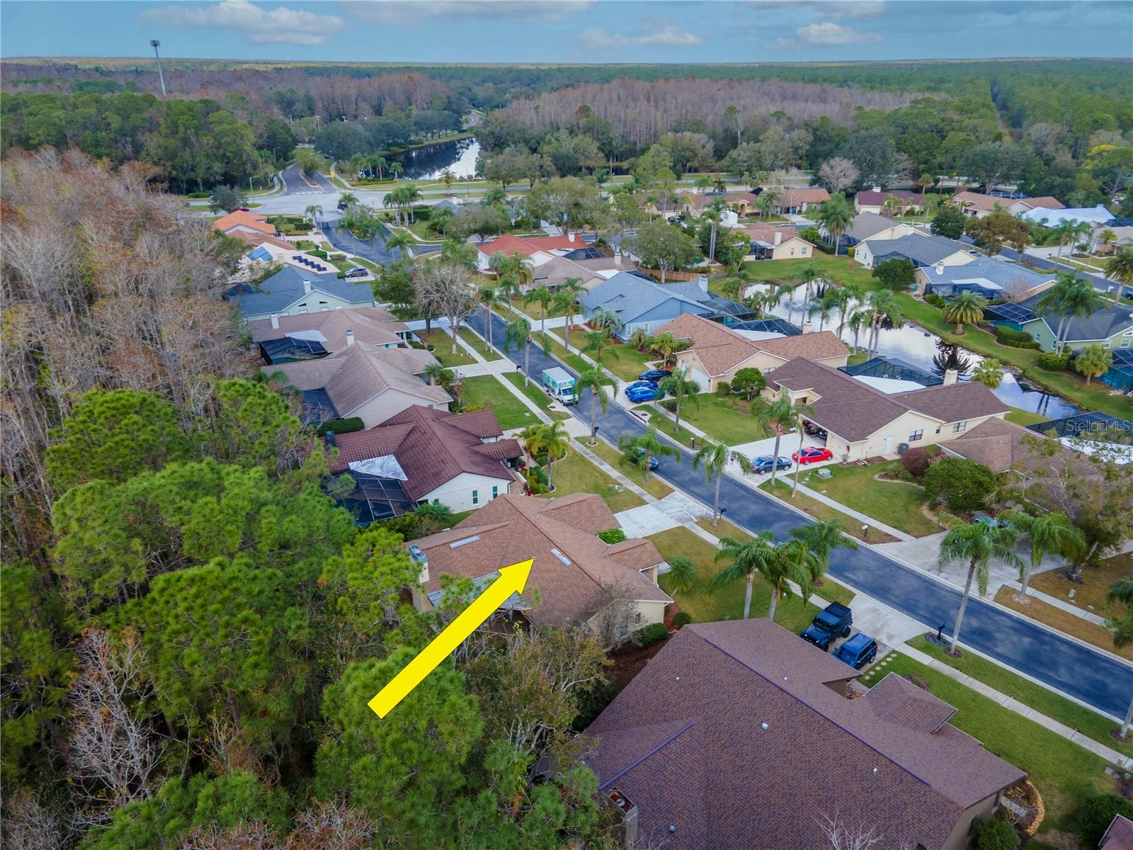 3214 GLENRIDGE DR, PALM HARBOR, FL, 34685
