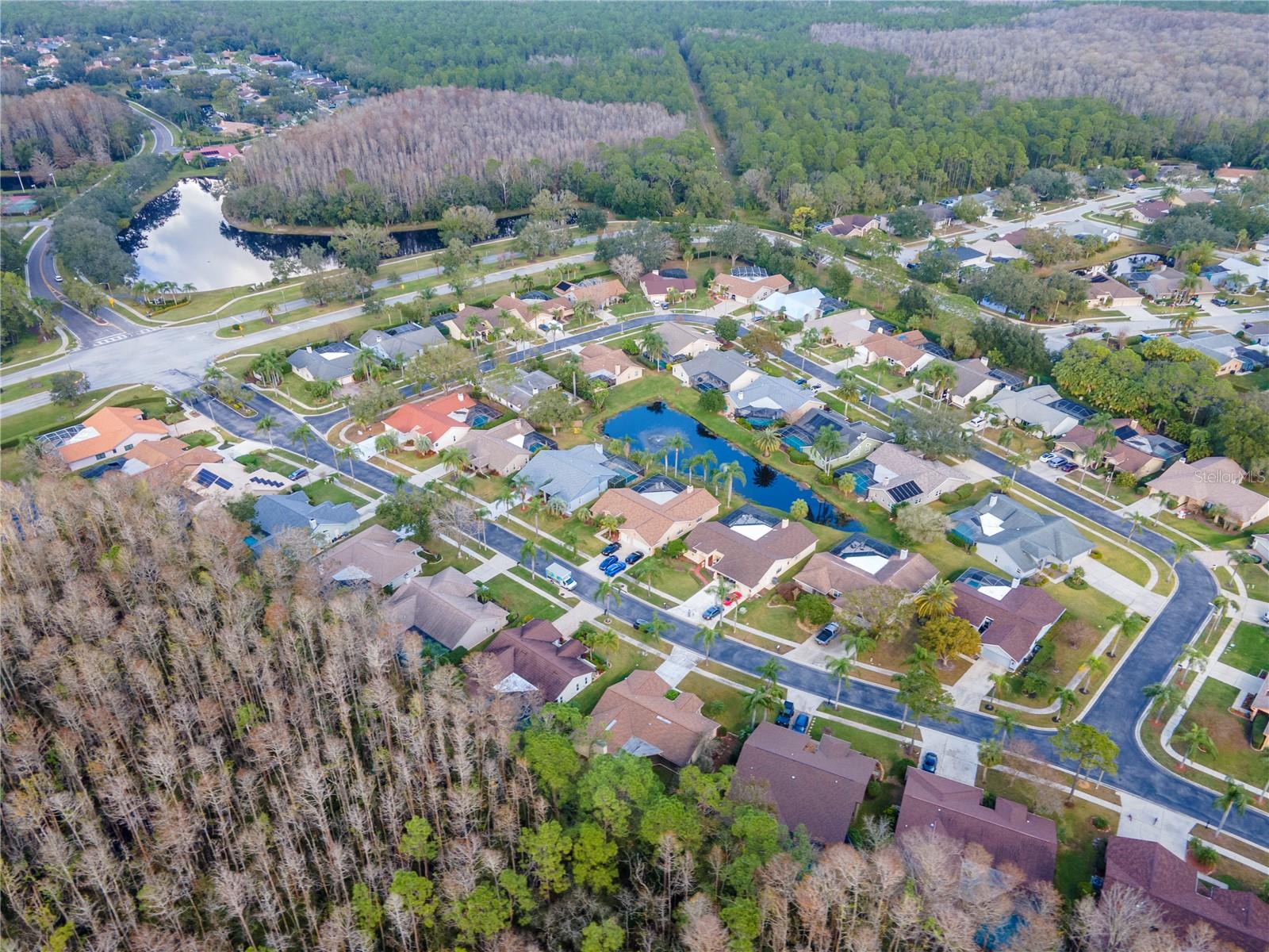 3214 GLENRIDGE DR, PALM HARBOR, FL, 34685