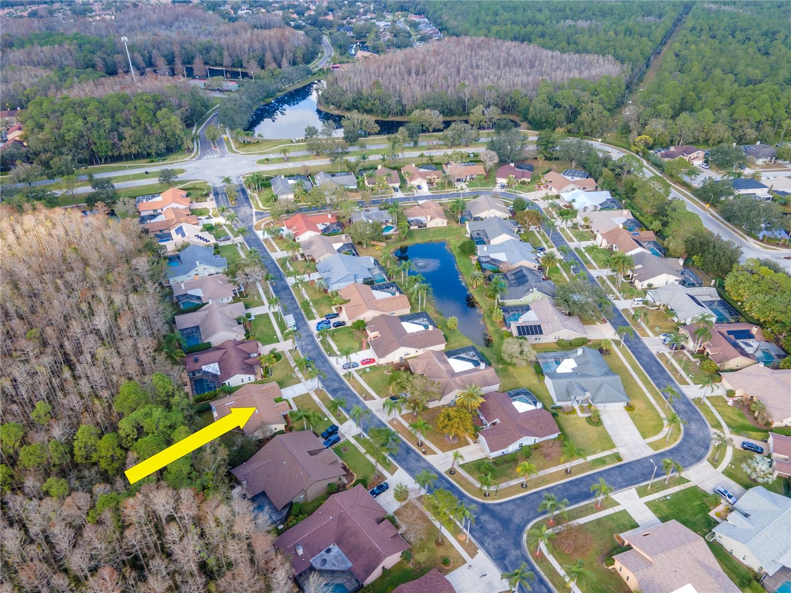 3214 GLENRIDGE DR, PALM HARBOR, FL, 34685