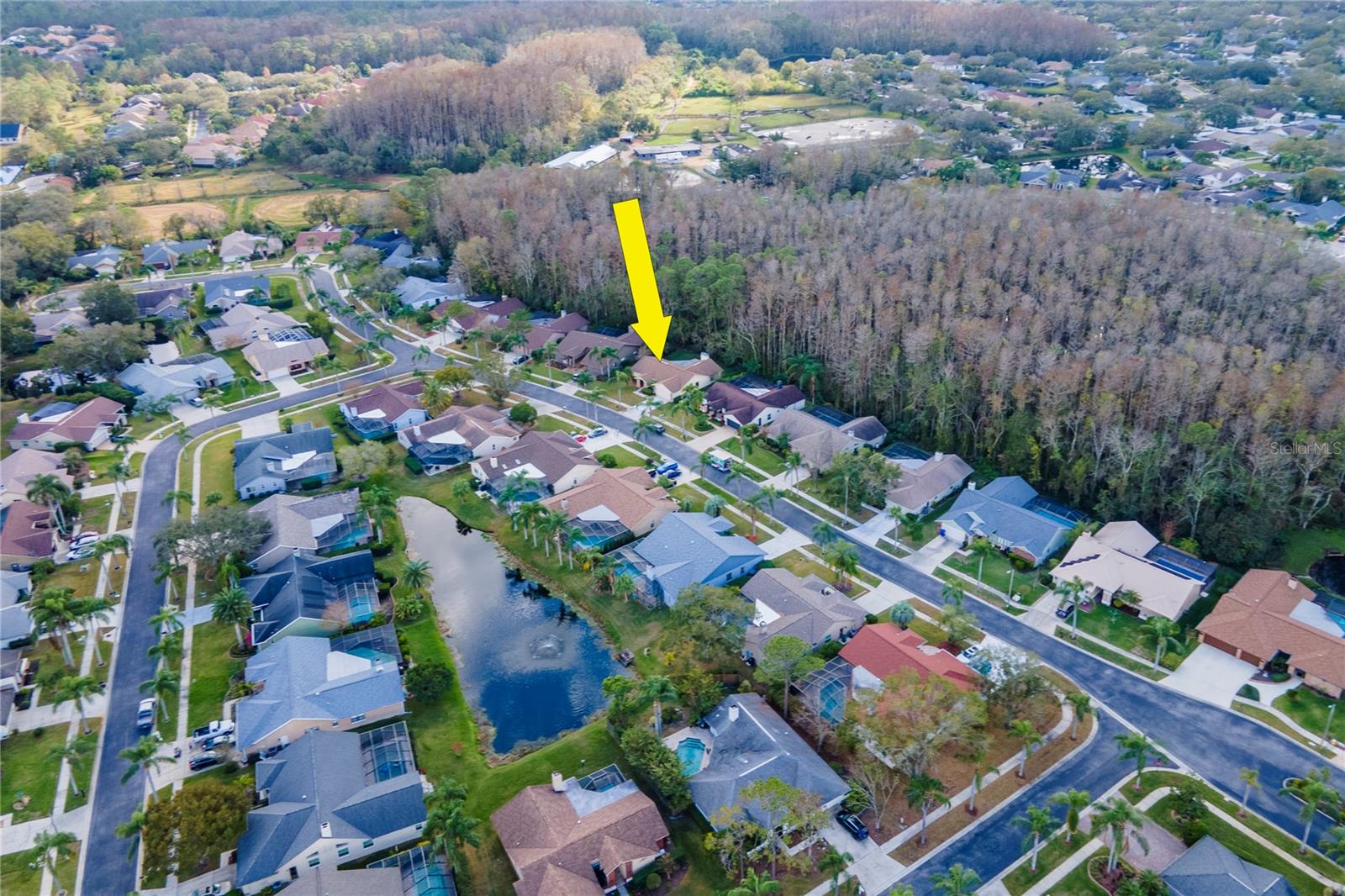 3214 GLENRIDGE DR, PALM HARBOR, FL, 34685
