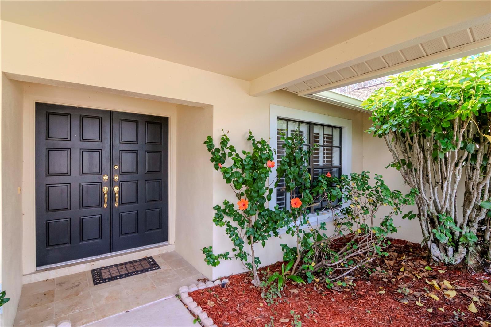 3214 GLENRIDGE DR, PALM HARBOR, FL, 34685