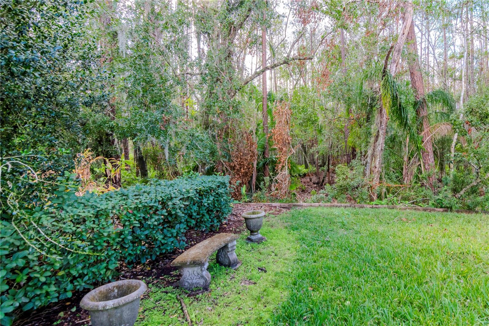 3214 GLENRIDGE DR, PALM HARBOR, FL, 34685