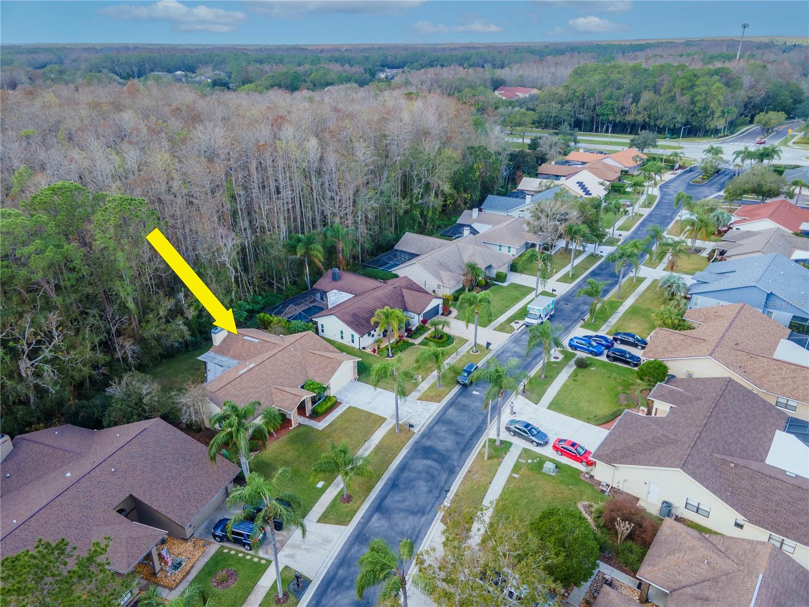 3214 GLENRIDGE DR, PALM HARBOR, FL, 34685