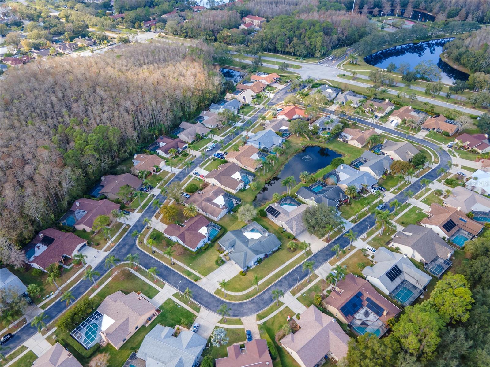 3214 GLENRIDGE DR, PALM HARBOR, FL, 34685