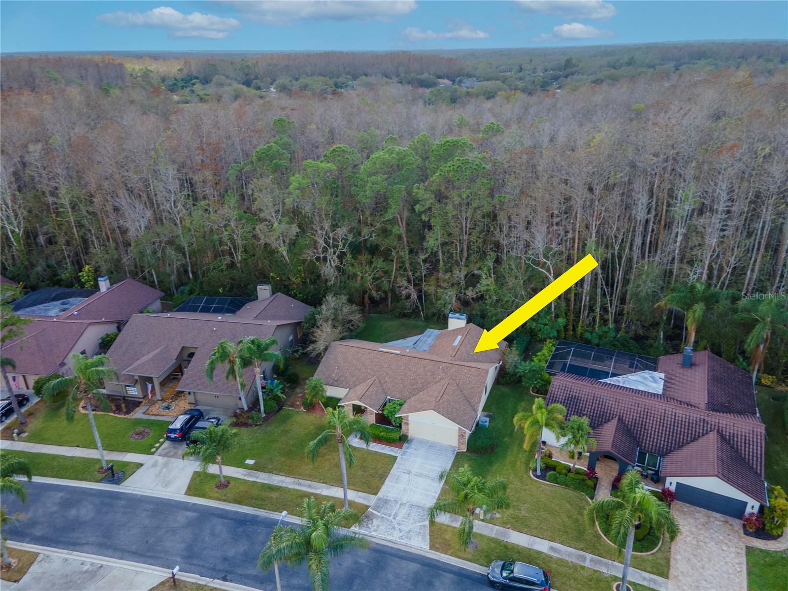 3214 GLENRIDGE DR, PALM HARBOR, FL, 34685