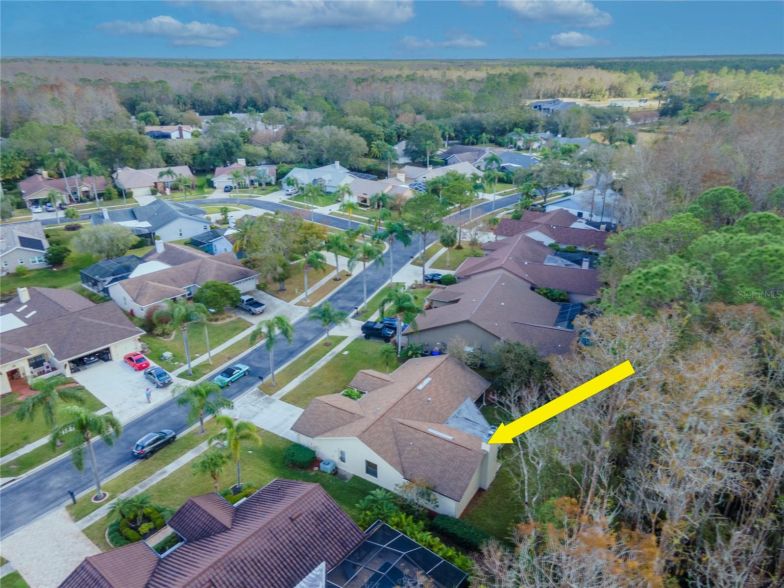 3214 GLENRIDGE DR, PALM HARBOR, FL, 34685