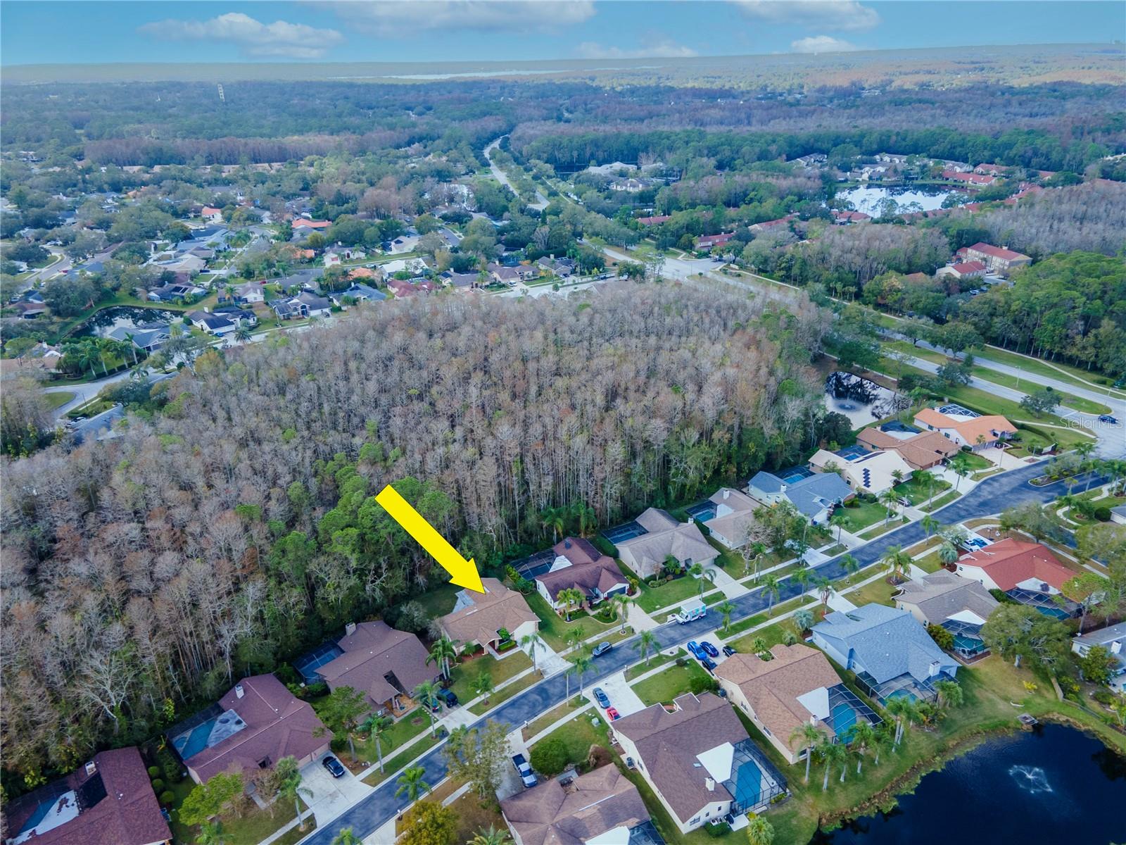 3214 GLENRIDGE DR, PALM HARBOR, FL, 34685
