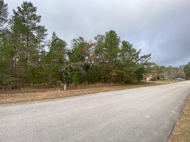 14 STATICE CT, HOMOSASSA, FL, 34446