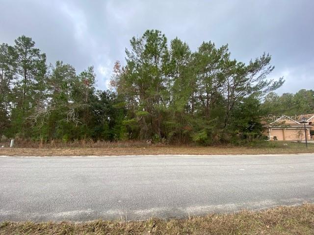 14 STATICE CT, HOMOSASSA, FL, 34446