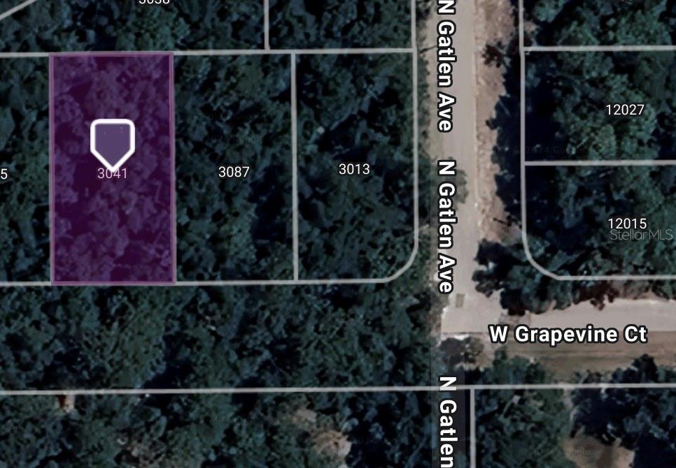 3041 W GRAPEVINE CT, DUNNELLON, FL, 34433