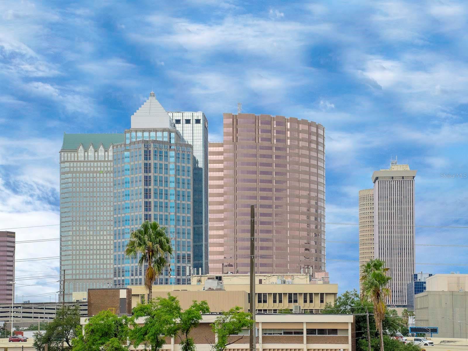 1120 E KENNEDY BLVD #419, TAMPA, FL, 33602