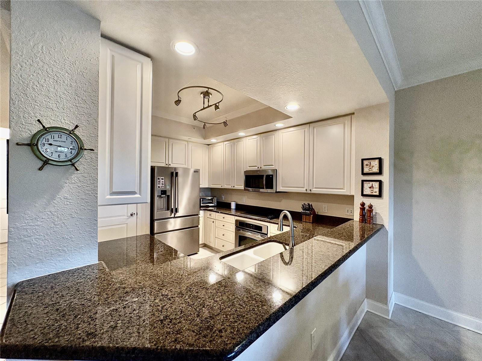 261 MINORCA BEACH WAY #204, NEW SMYRNA BEACH, FL, 32169