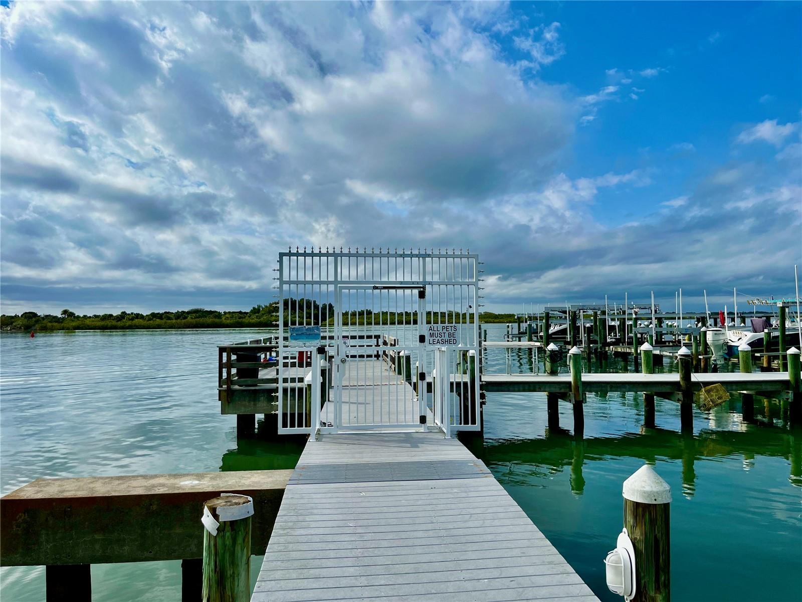 261 MINORCA BEACH WAY #204, NEW SMYRNA BEACH, FL, 32169