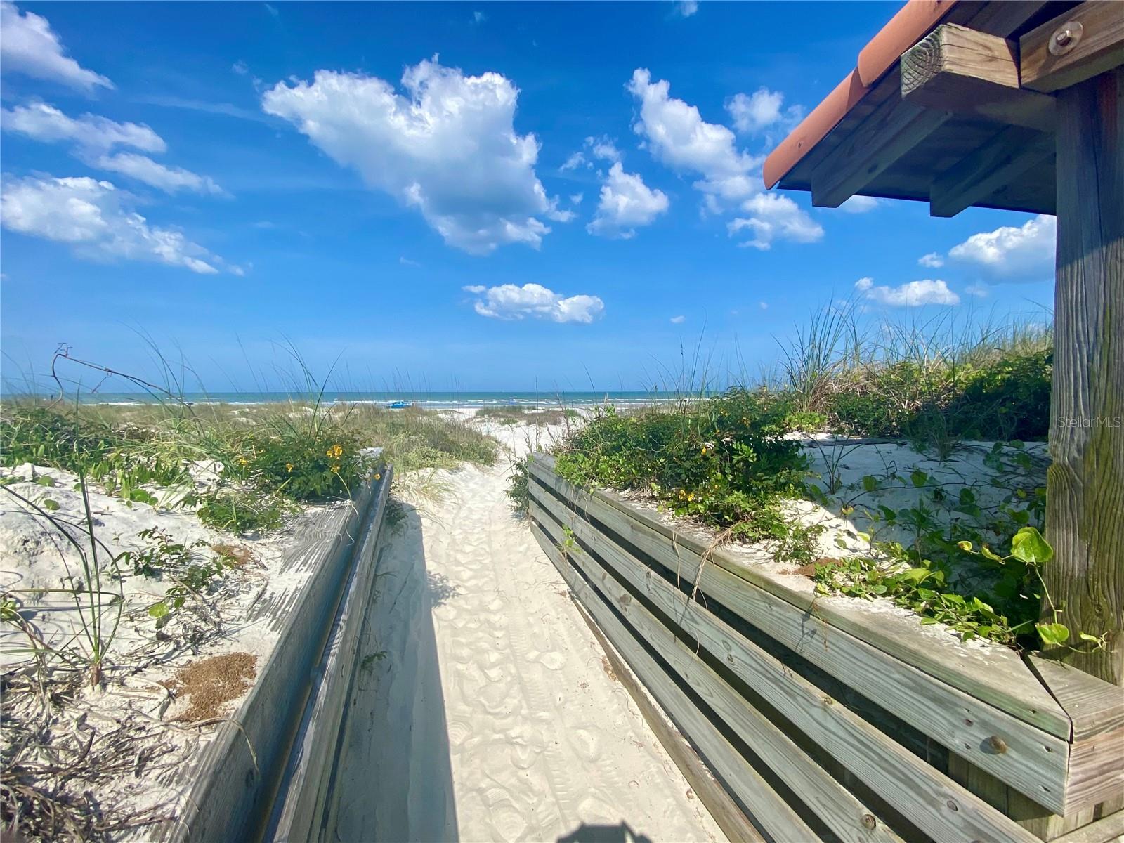 261 MINORCA BEACH WAY #204, NEW SMYRNA BEACH, FL, 32169
