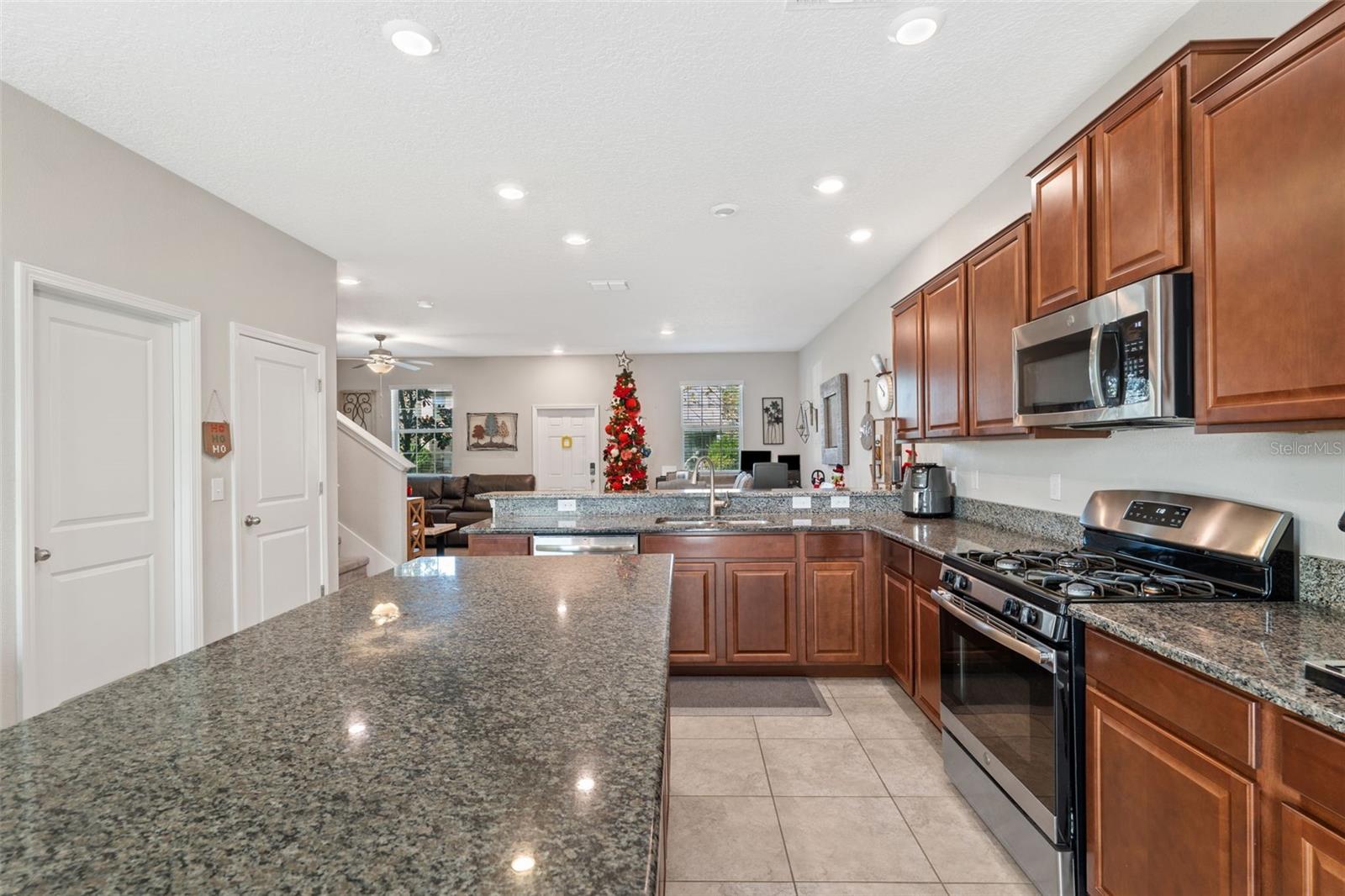 17426 CRUISER BND, LAND O LAKES, FL, 34638