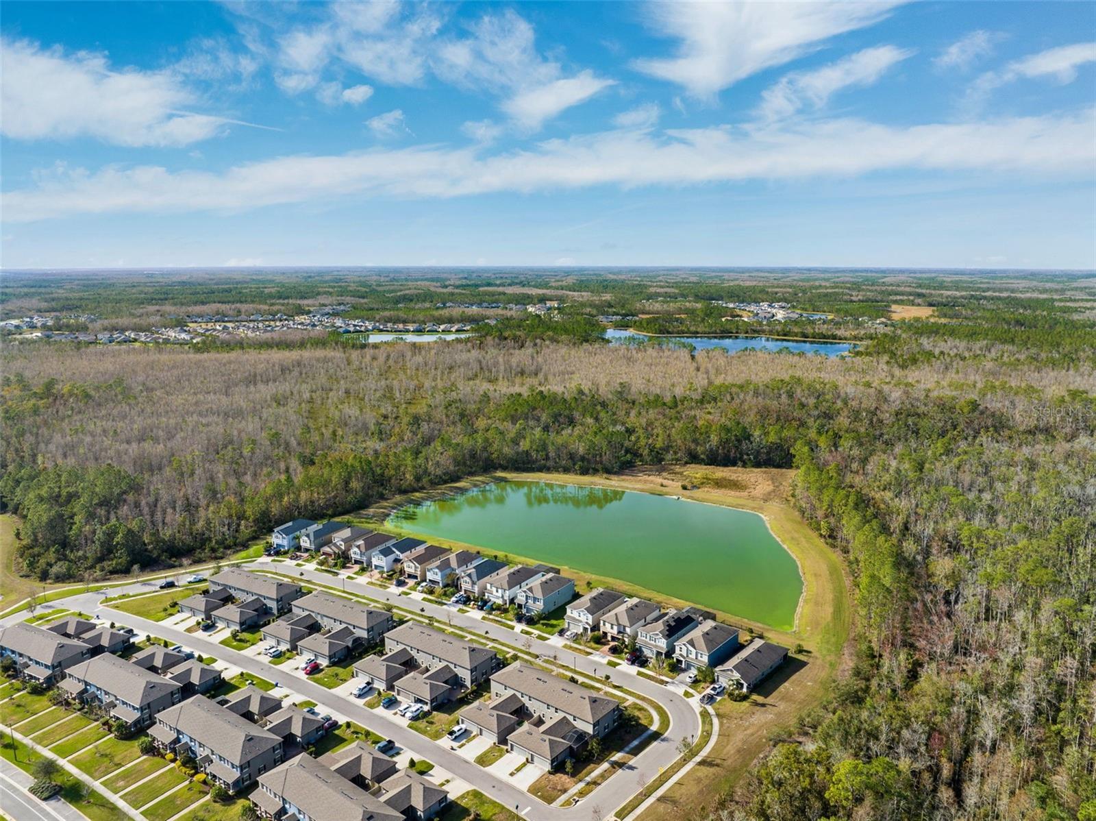 17426 CRUISER BND, LAND O LAKES, FL, 34638