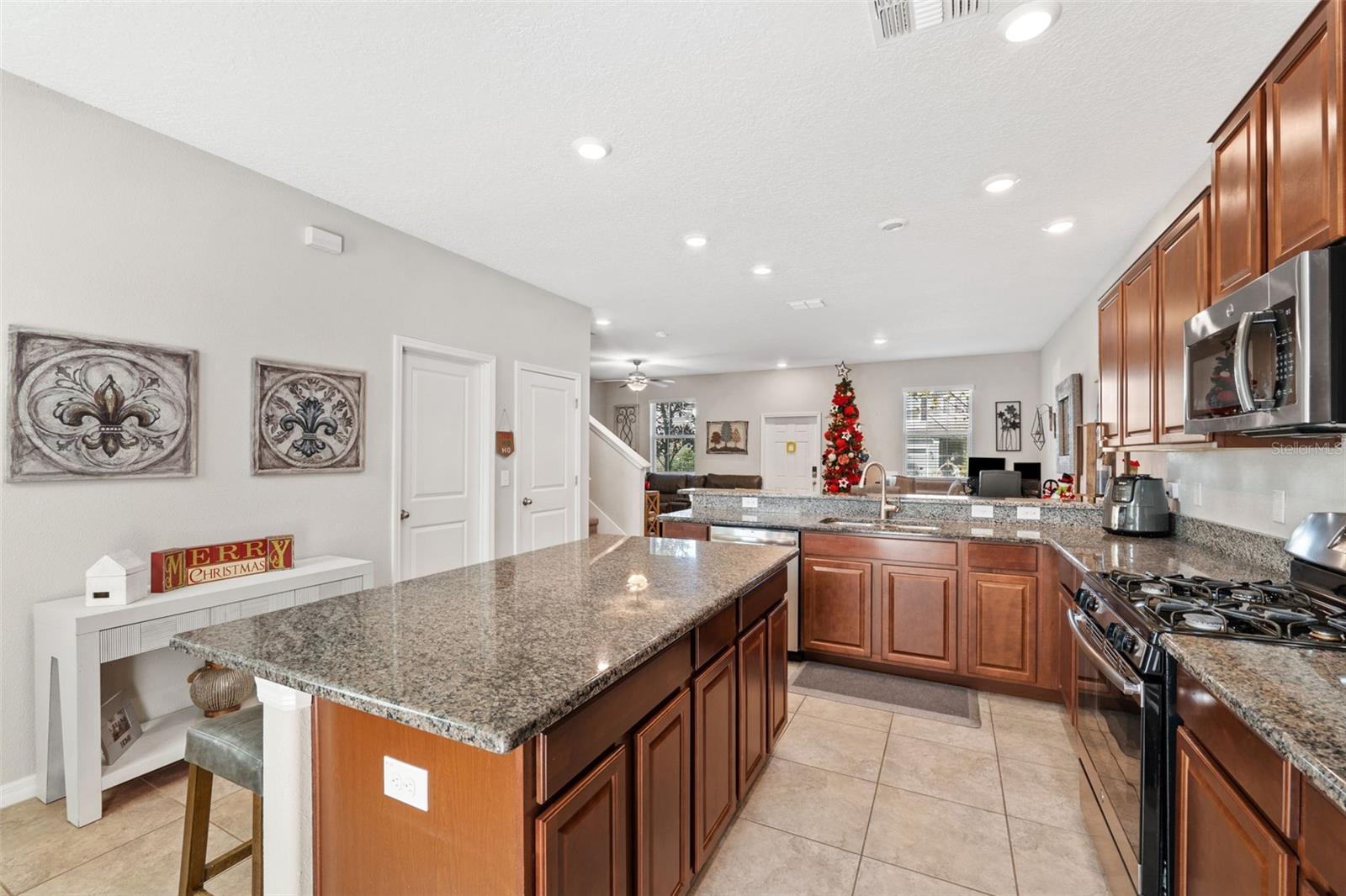 17426 CRUISER BND, LAND O LAKES, FL, 34638