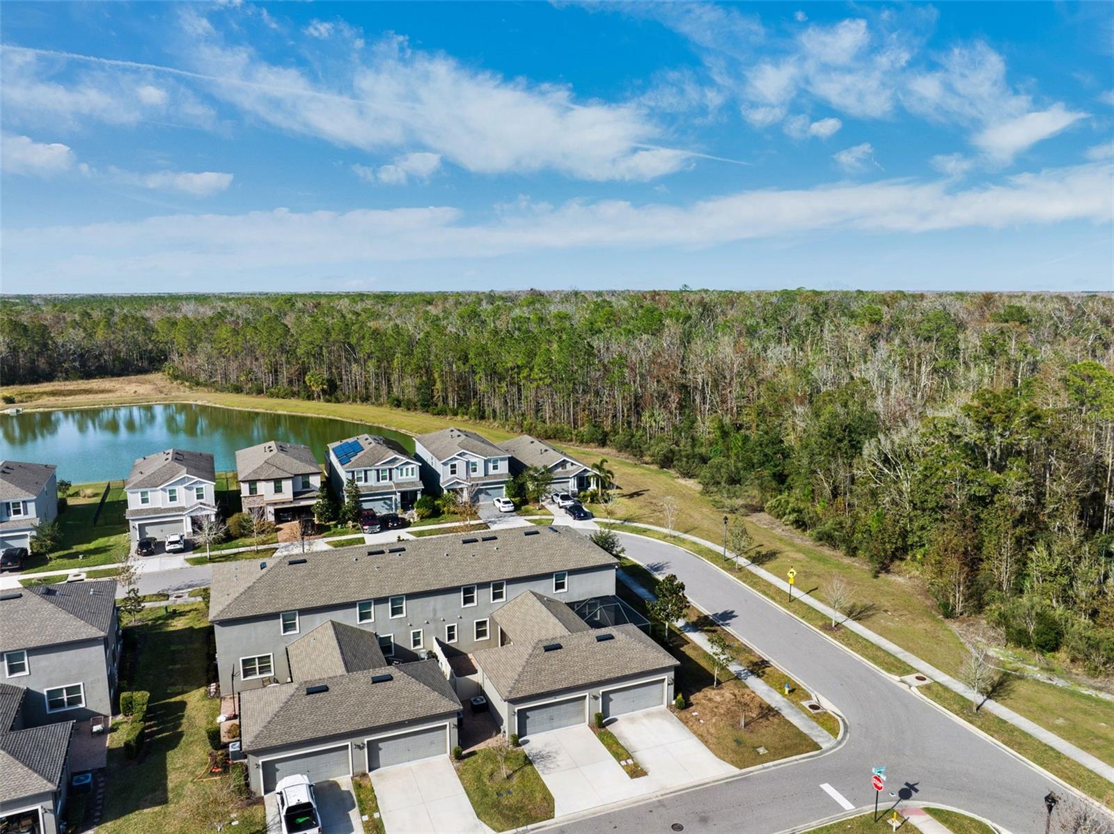 17426 CRUISER BND, LAND O LAKES, FL, 34638