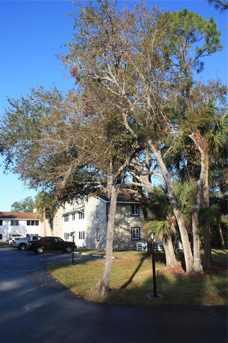 22481 WESTCHESTER BLVD #A17, PUNTA GORDA, FL, 33980
