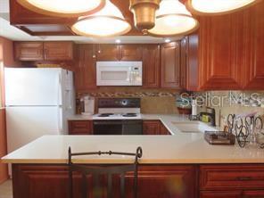 504 NARVAEZI ST #126, VENICE, FL, 34285