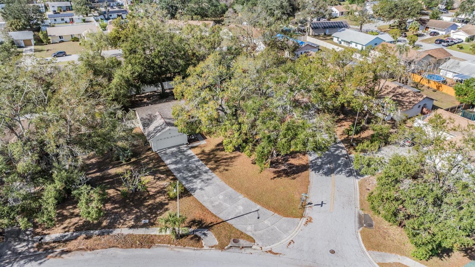 8512 RENALD BLVD, TEMPLE TERRACE, FL, 33637