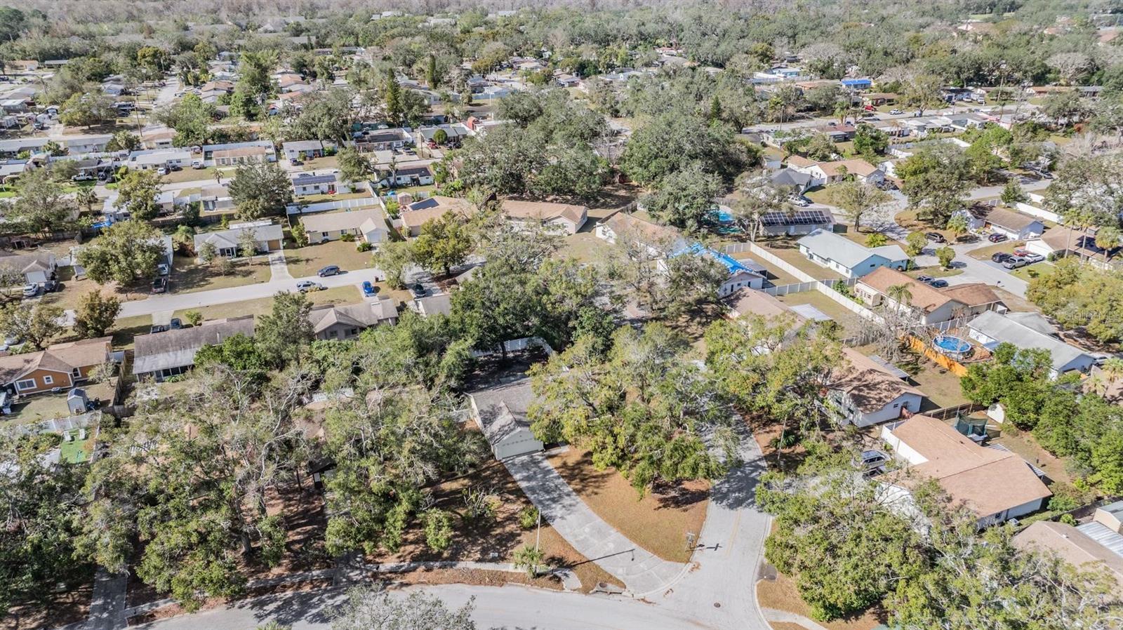 8512 RENALD BLVD, TEMPLE TERRACE, FL, 33637