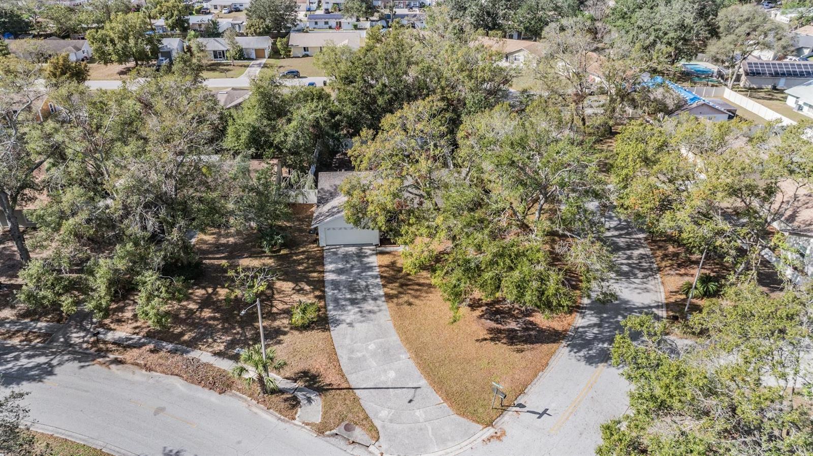 8512 RENALD BLVD, TEMPLE TERRACE, FL, 33637