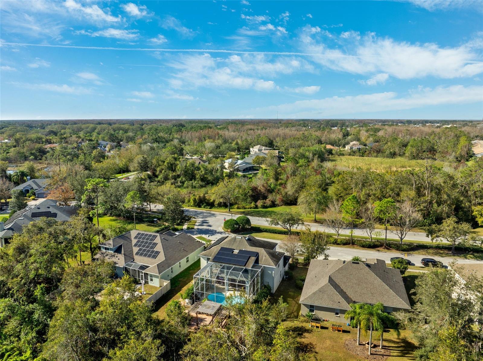 7212 AMERICUS LN, LAND O LAKES, FL, 34637