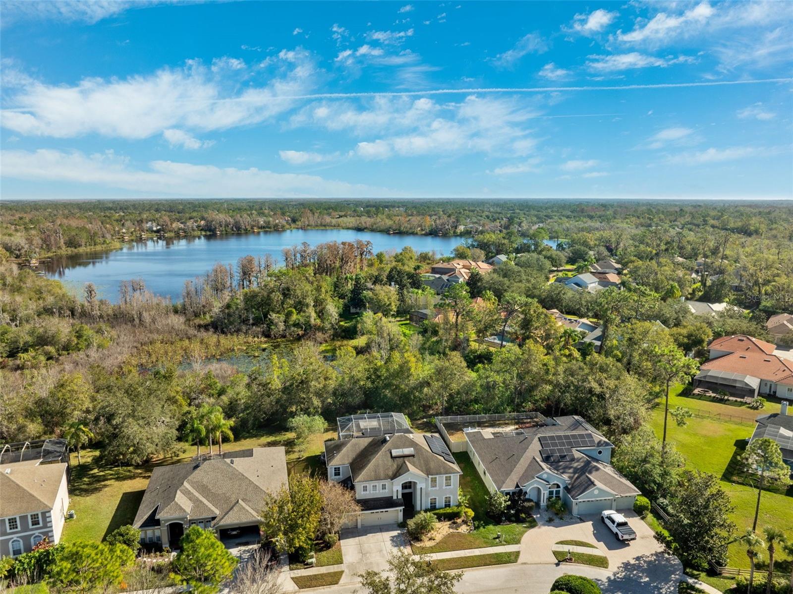 7212 AMERICUS LN, LAND O LAKES, FL, 34637