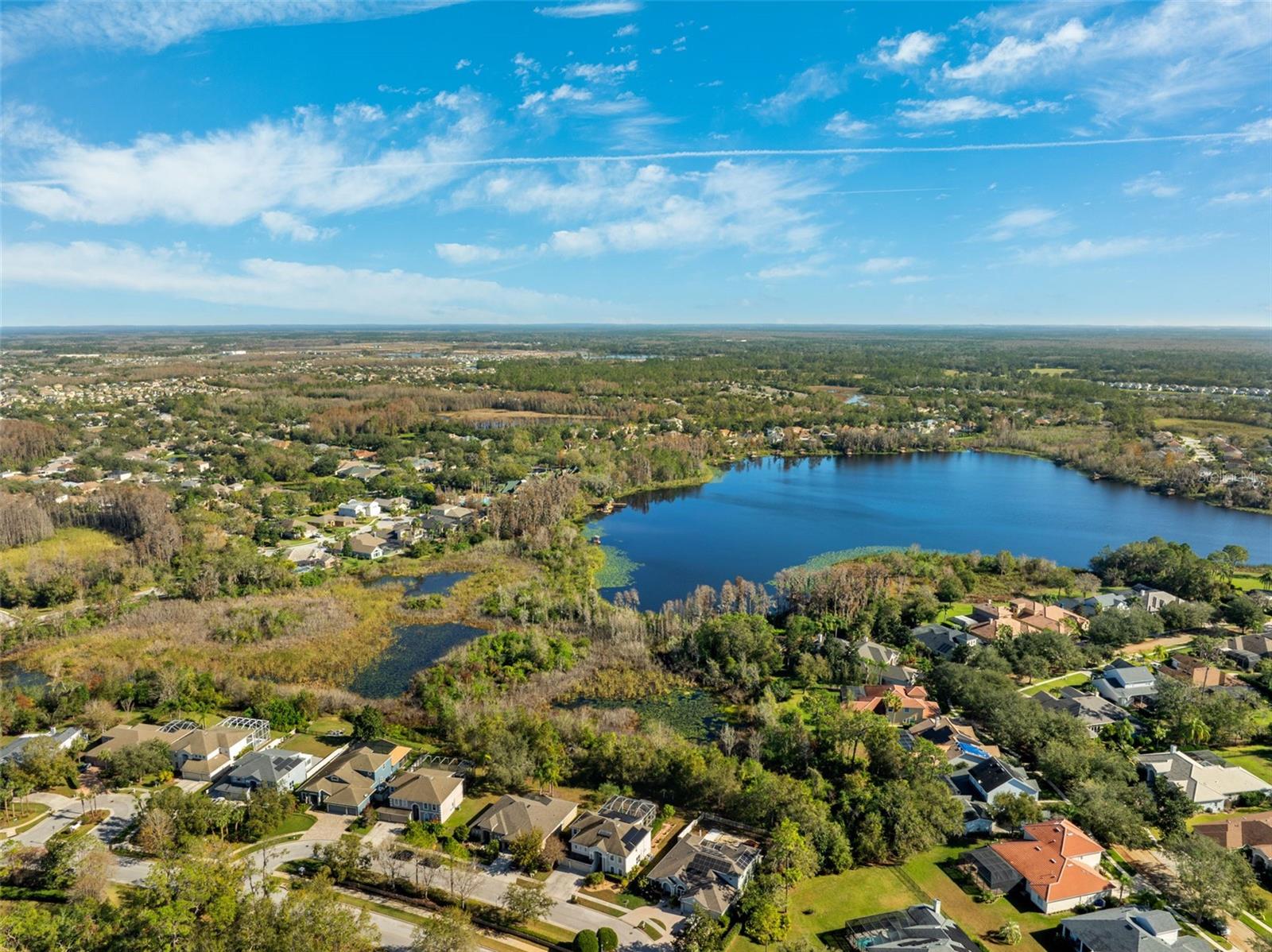 7212 AMERICUS LN, LAND O LAKES, FL, 34637