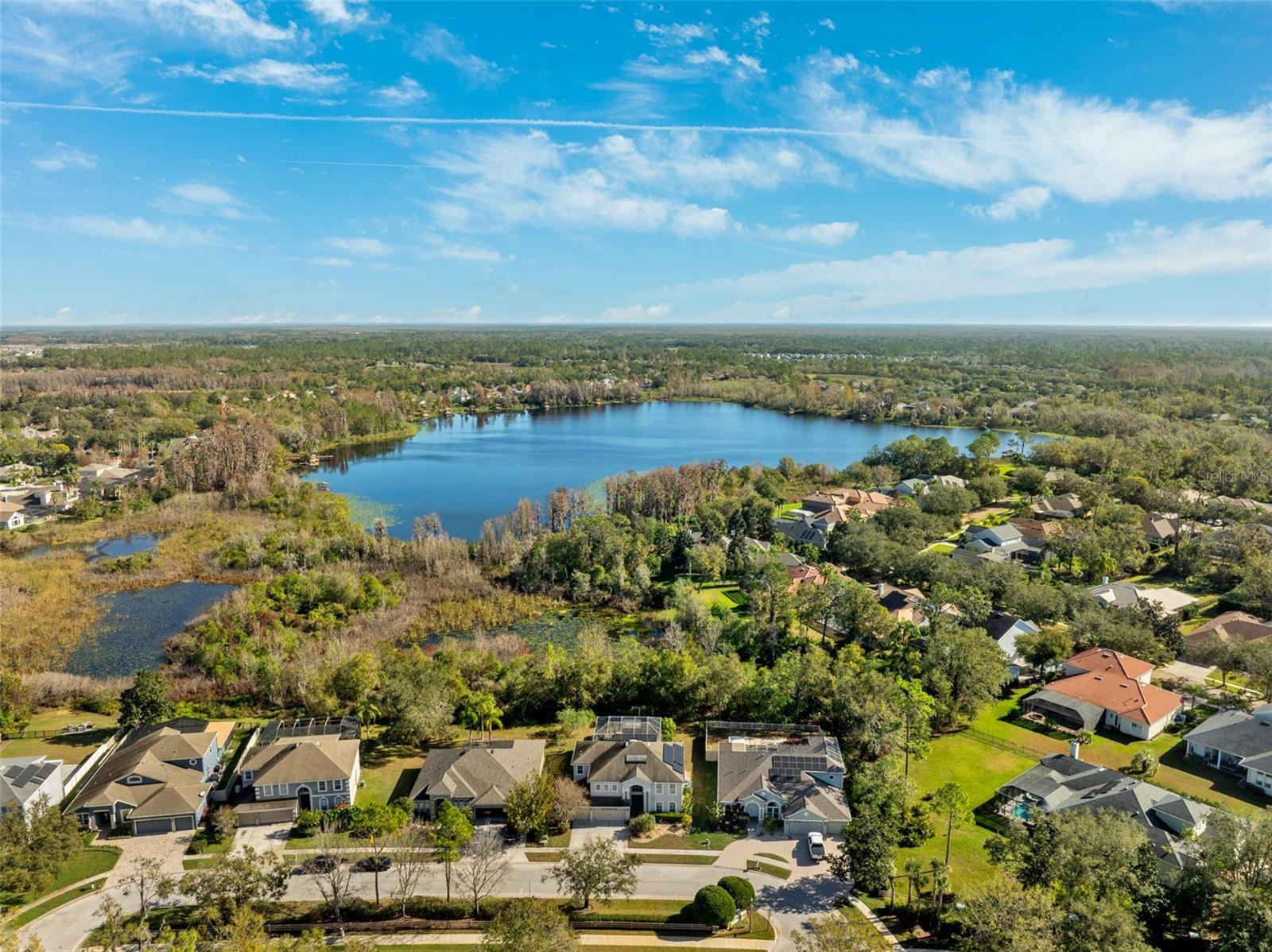 7212 AMERICUS LN, LAND O LAKES, FL, 34637