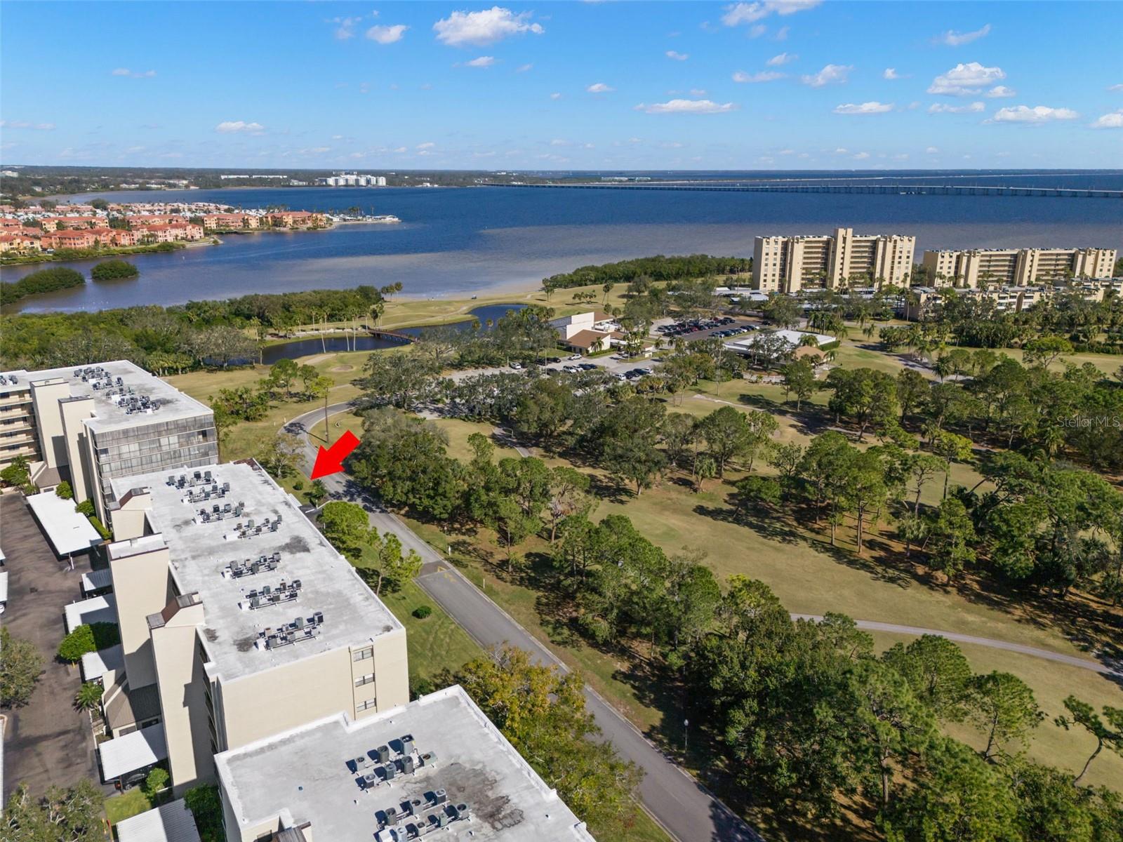 2700 COVE CAY DR #3F, CLEARWATER, FL, 33760