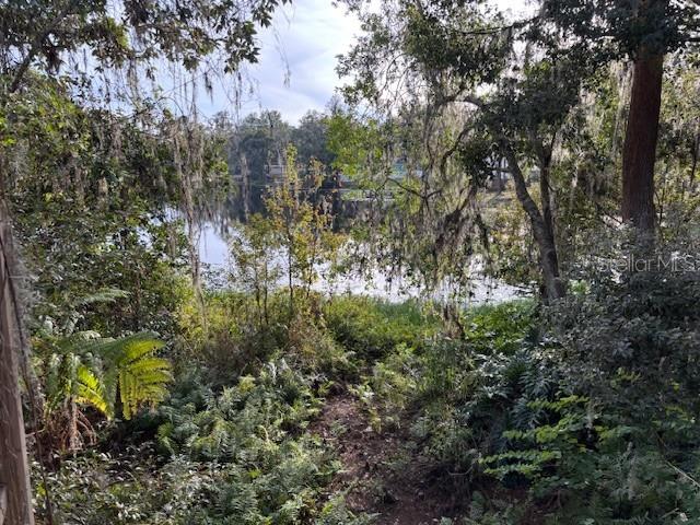 409 2ND AVE SE, LUTZ, FL, 33549